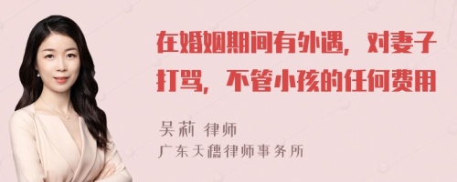在婚姻期間有外遇，對妻子打罵，不管小孩的任何費(fèi)用