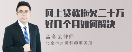 網(wǎng)上貸款拖欠二十萬好幾個(gè)月如何解決