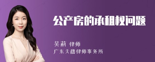公產(chǎn)房的承租權(quán)問題