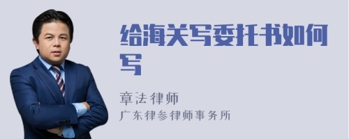 給海關(guān)寫委托書如何寫