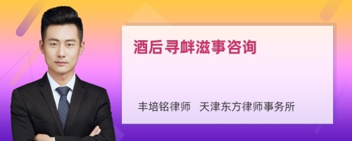 酒后尋釁滋事咨詢