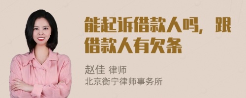 能起訴借款人嗎，跟借款人有欠條