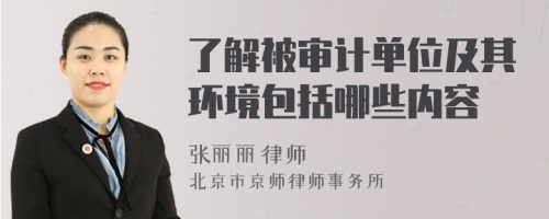 了解被審計單位及其環(huán)境包括哪些內(nèi)容