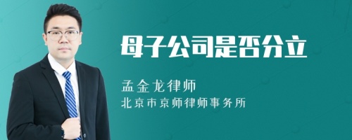 母子公司是否分立