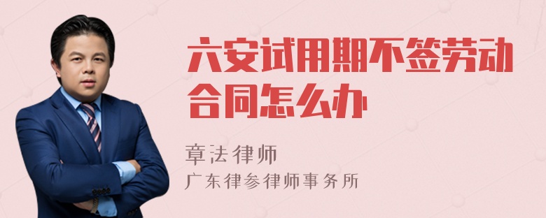 六安試用期不簽勞動合同怎么辦