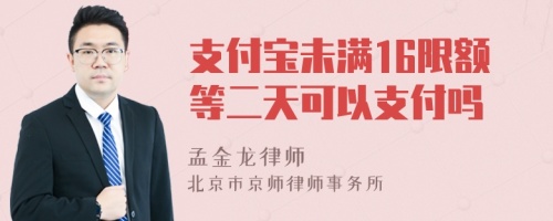 支付寶未滿16限額等二天可以支付嗎