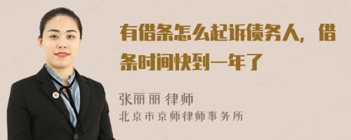 有借條怎么起訴債務(wù)人，借條時間快到一年了