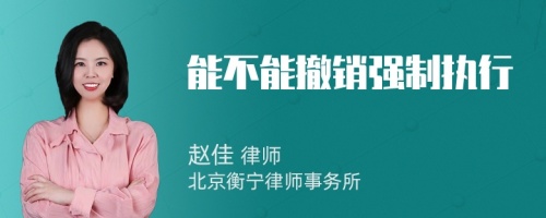 能不能撤銷強(qiáng)制執(zhí)行