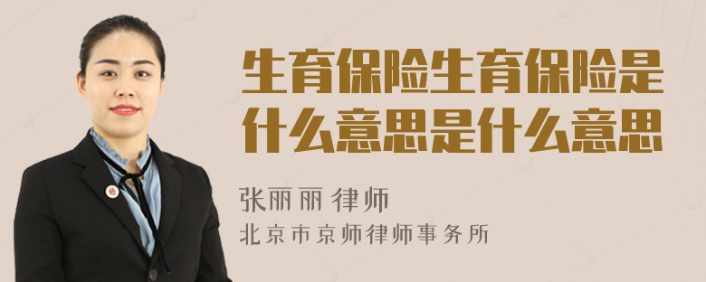 生育保險生育保險是什么意思是什么意思