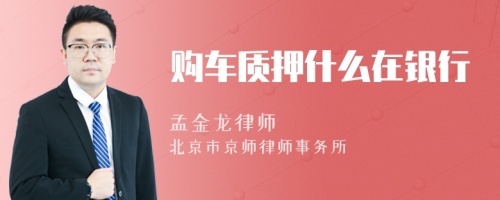 購車質(zhì)押什么在銀行