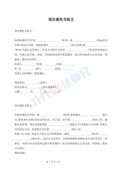 項目委托書范文