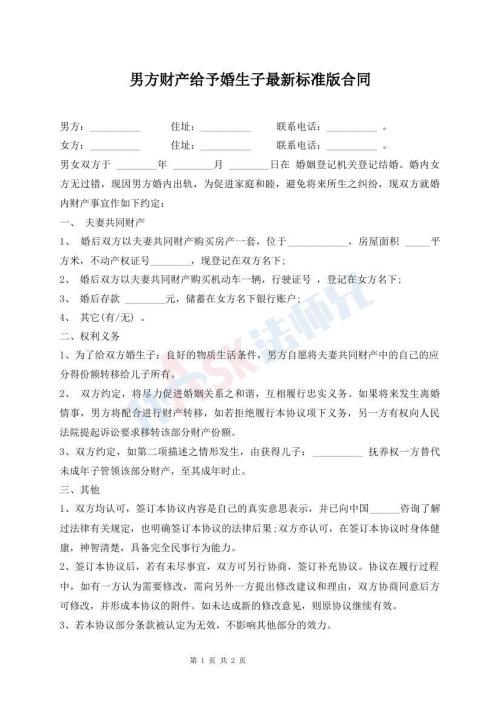 男方財(cái)產(chǎn)給予婚生子最新標(biāo)準(zhǔn)版合同