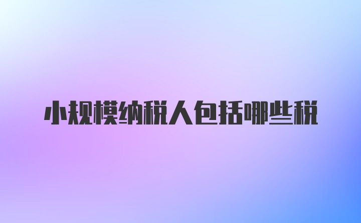 小規(guī)模納稅人包括哪些稅