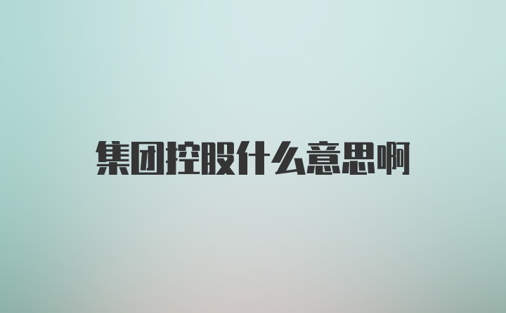 集團(tuán)控股什么意思啊