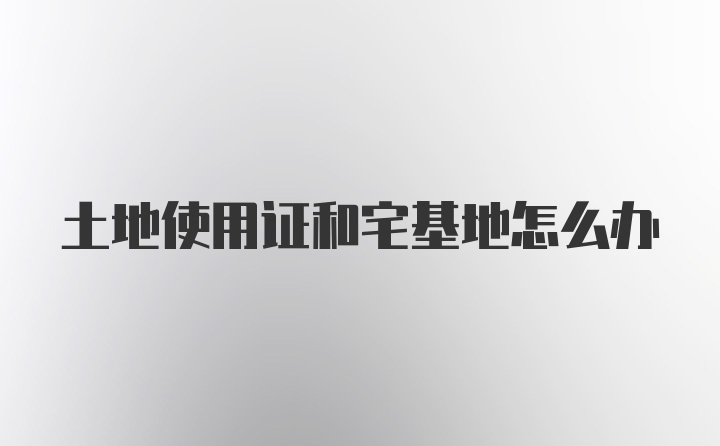土地使用證和宅基地怎么辦
