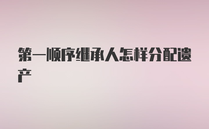 第一順序繼承人怎樣分配遺產(chǎn)