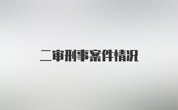 二審刑事案件情況