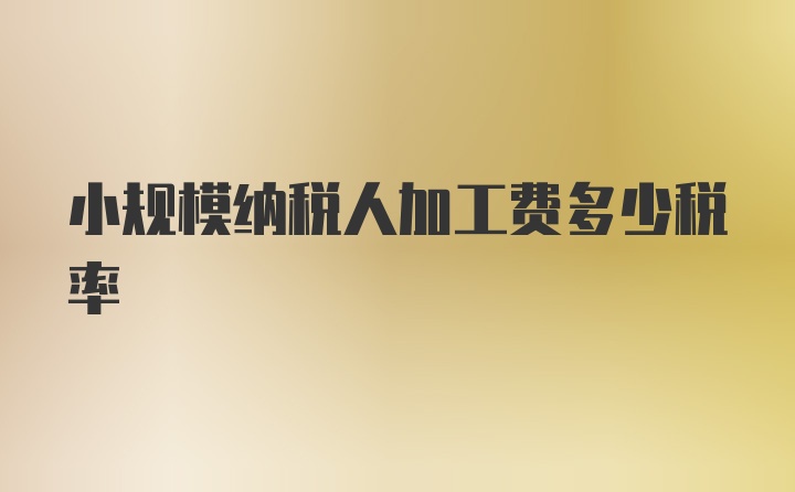 小規(guī)模納稅人加工費多少稅率