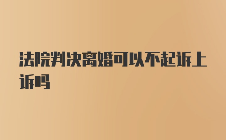 法院判决离婚可以不起诉上诉吗