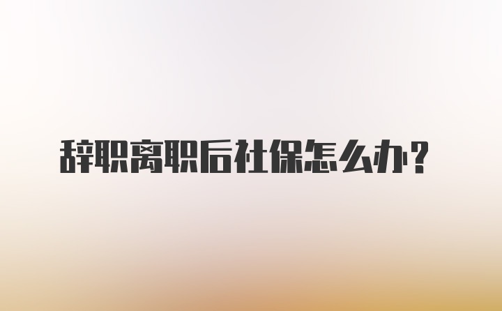 辭職離職后社保怎么辦？