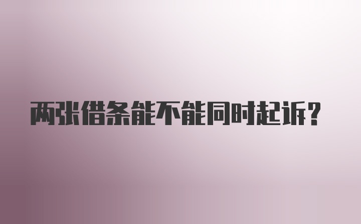 兩張借條能不能同時起訴？