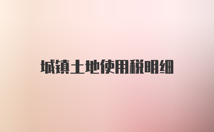 城鎮(zhèn)土地使用稅明細(xì)