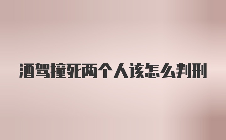 酒驾撞死两个人该怎么判刑