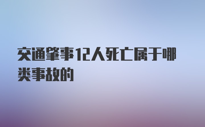 交通肇事12人死亡属于哪类事故的