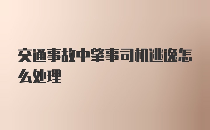 交通事故中肇事司机逃逸怎么处理