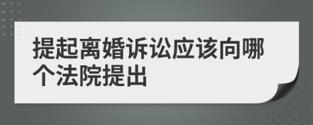 提起離婚訴訟應(yīng)該向哪個(gè)法院提出