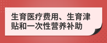 生育醫(yī)療費用、生育津貼和一次性營養(yǎng)補助
