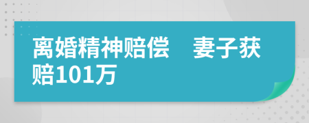 離婚精神賠償　妻子獲賠101萬