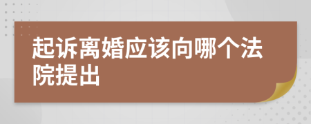 起訴離婚應(yīng)該向哪個法院提出