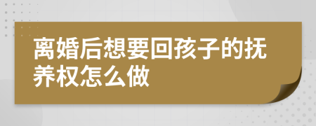 離婚后想要回孩子的撫養(yǎng)權(quán)怎么做