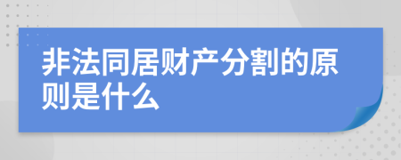 非法同居財產(chǎn)分割的原則是什么