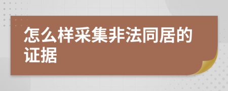 怎么樣采集非法同居的證據(jù)