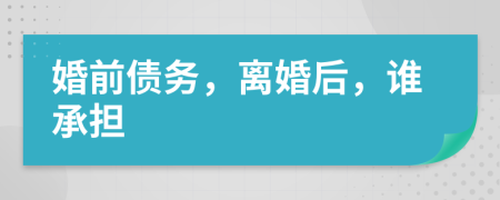 婚前債務(wù)，離婚后，誰承擔