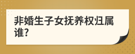 非婚生子女撫養(yǎng)權(quán)歸屬誰(shuí)?