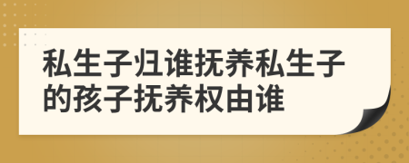私生子歸誰(shuí)撫養(yǎng)私生子的孩子撫養(yǎng)權(quán)由誰(shuí)