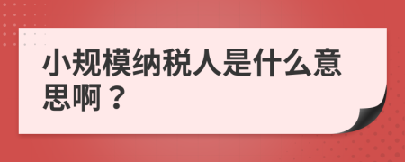 小規(guī)模納稅人是什么意思??？