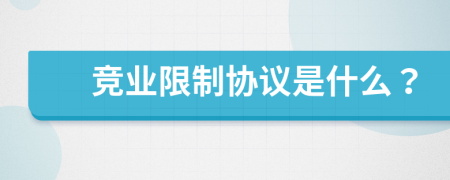 競(jìng)業(yè)限制協(xié)議是什么？