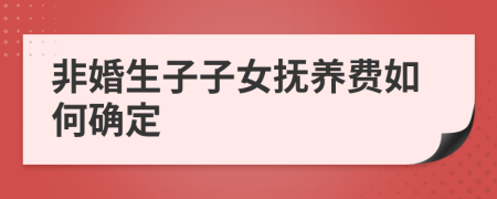 非婚生子子女撫養(yǎng)費(fèi)如何確定