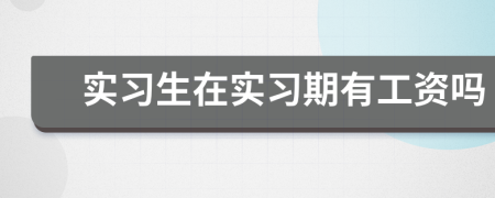 實習生在實習期有工資嗎