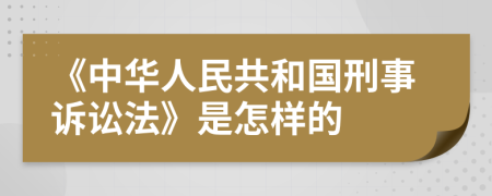 《中華人民共和國刑事訴訟法》是怎樣的
