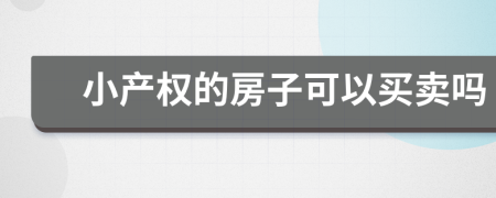 小產(chǎn)權(quán)的房子可以買賣嗎