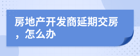 房地產(chǎn)開發(fā)商延期交房，怎么辦