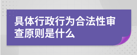 具體行政行為合法性審查原則是什么