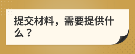 提交材料，需要提供什么？