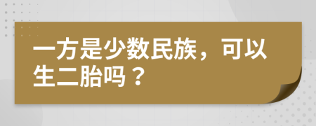 一方是少數(shù)民族，可以生二胎嗎？