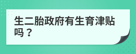 生二胎政府有生育津貼嗎？